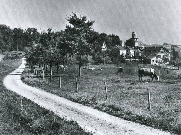 Der „Feldweg“ zum Schloss Meßkirch (heute bebaut). Foto Elsbeth Büchin, um 1950.